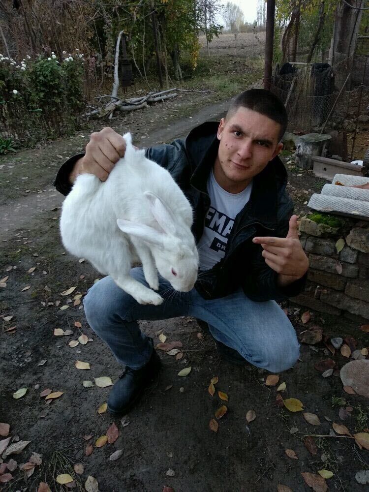 ���������� ����-�������, ���� ������� �����, 27 ���, ������������ ��� ������, ����� � ���������