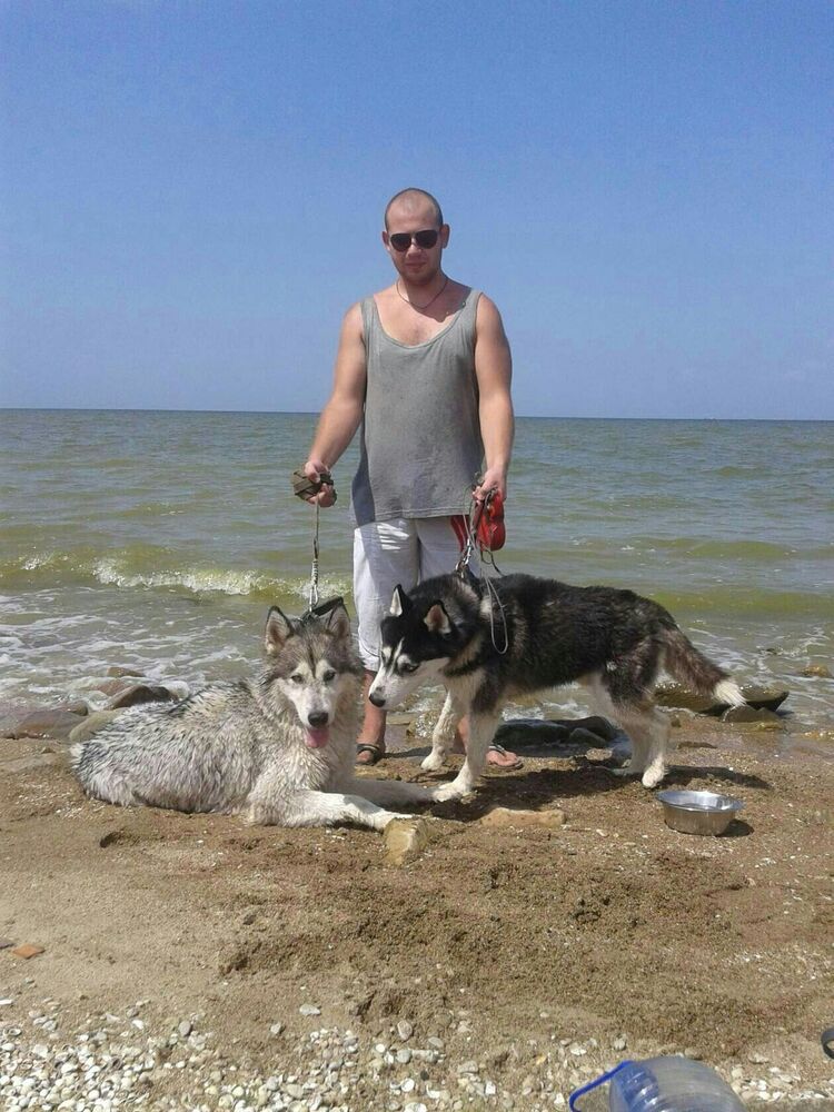 ���� 55932515 ������� �������, 29 ���, ���� ���������� � ����