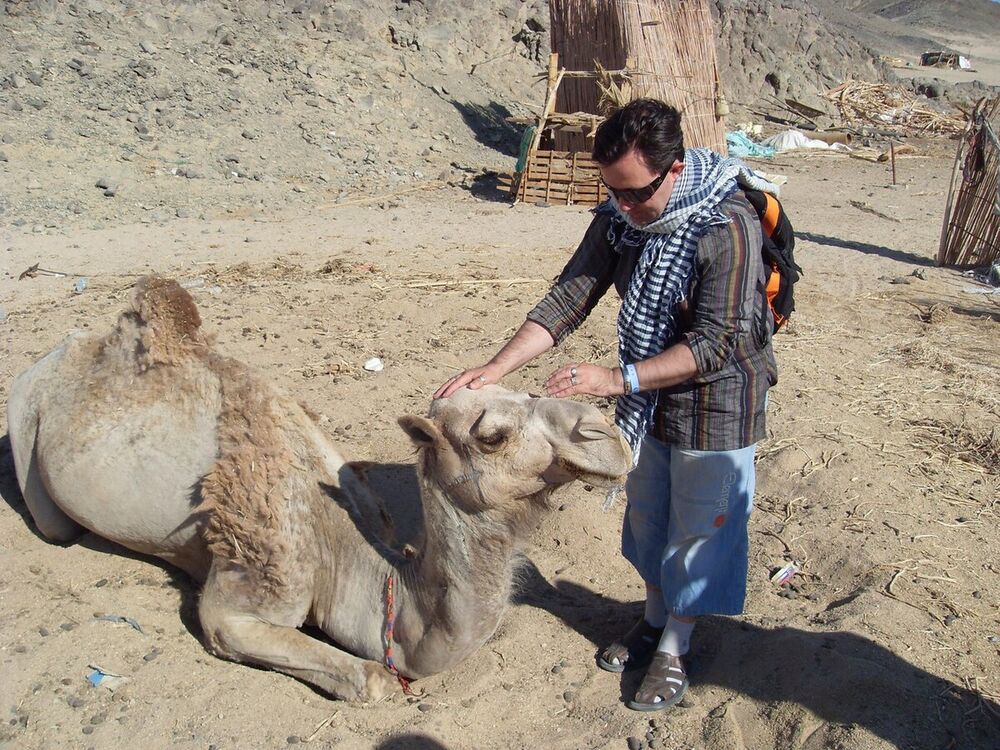 ���������� �������, ���� ������� �������, 60 ���, ������������ 