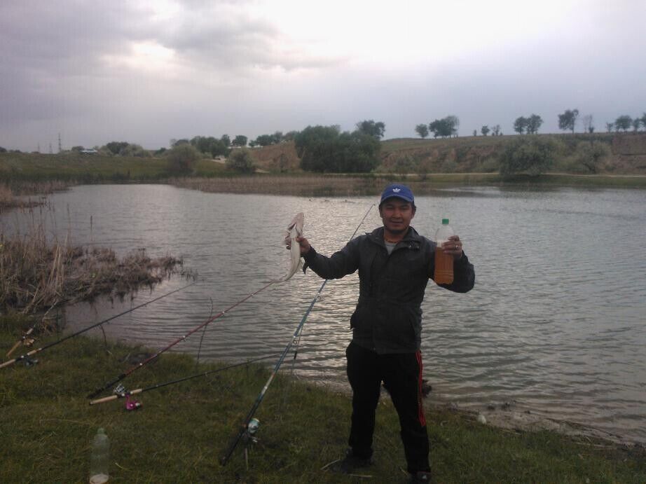 ���������� ������, ���� ������� ����, 37 ���, ������������ ��� ������