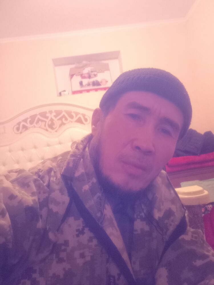 ���� 49509565 ������� ��������, 48 ���, ���� ���������� � ������-���