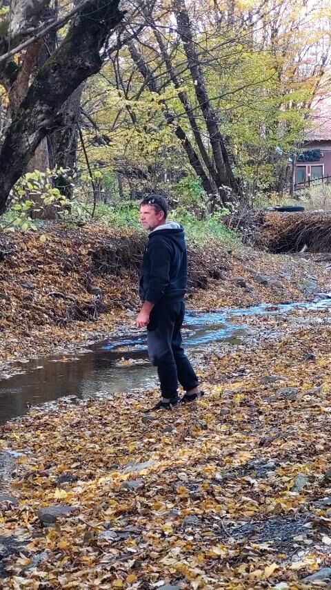 ���������� ����, ���� ������� ��������, 48 ���, ������������ ��� ������, ����� � ���������, c�������� ���������