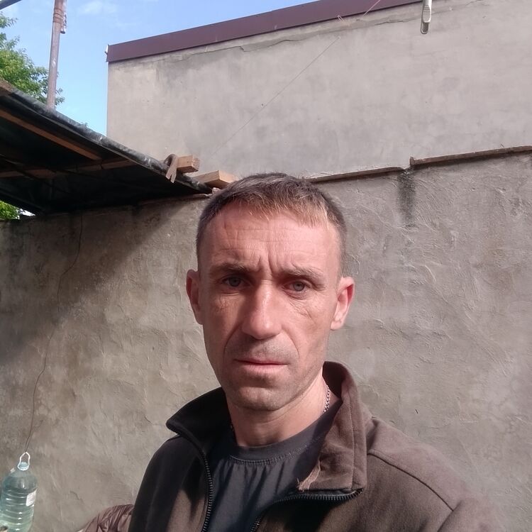  44163065  , 43 ,    