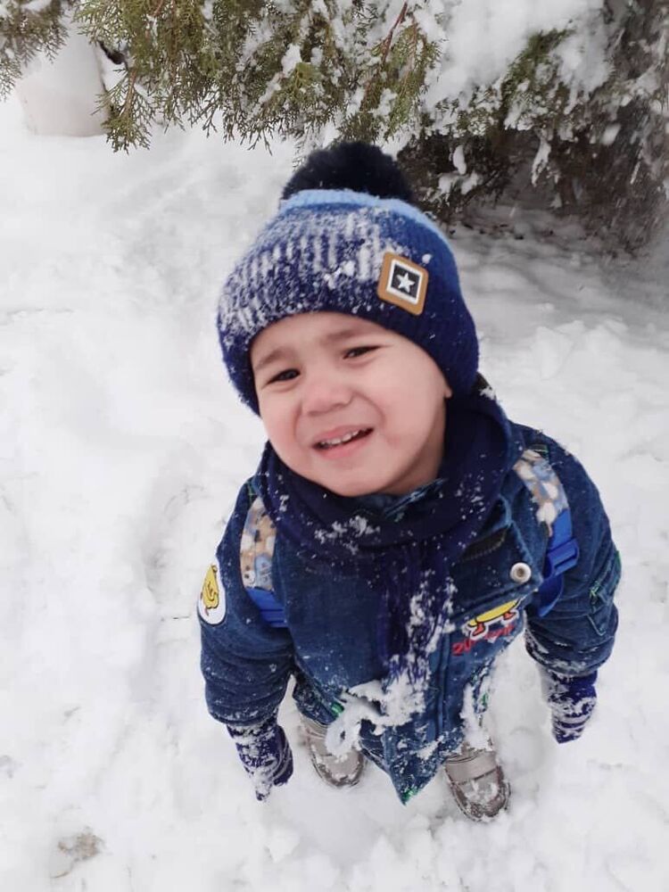 ���������� ���������, ���� ������� �����, 43 ����, ������������ ��� ������, c�������� ���������