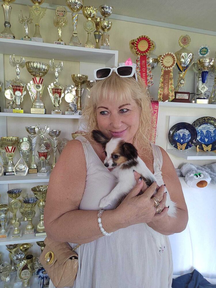 ���������� ������, ���� ������� ����, 52 ����, ������������ ��� ������, ����� � ���������