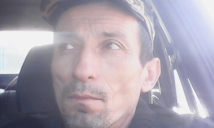  33086595  , 100 ,    