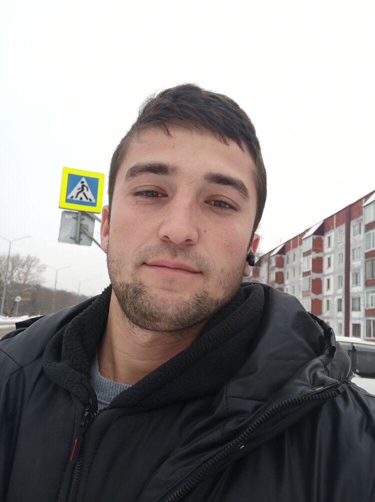  31374355  , 28 ,    