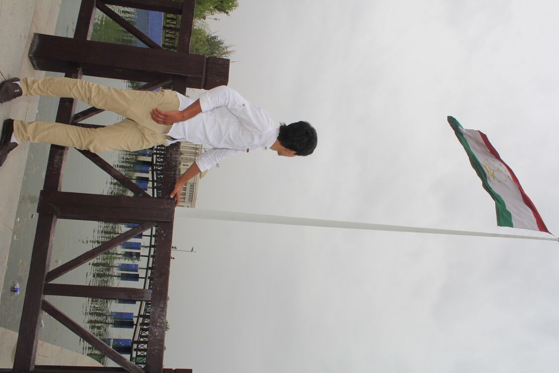 ���� 6462305 ������� �������, 29 ���, ���� ���������� � �������