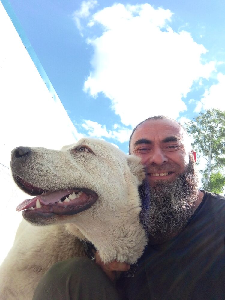 ���� 43390095 ������� ������, 41 ���, ���� ���������� � ������