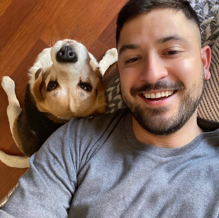 ���������� ������, ���� ������� �������, 31 ���, ������������ ��� ����� � ���������, c�������� ���������