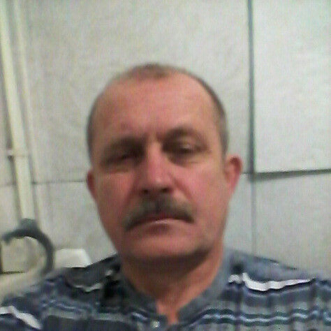 ���� 6971085 ������� Sasha, 64 ����, ���� ���������� � �����