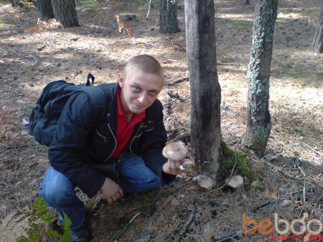 ���� 1158715 ������� Andersson, 48 ���, ���� ���������� � �����