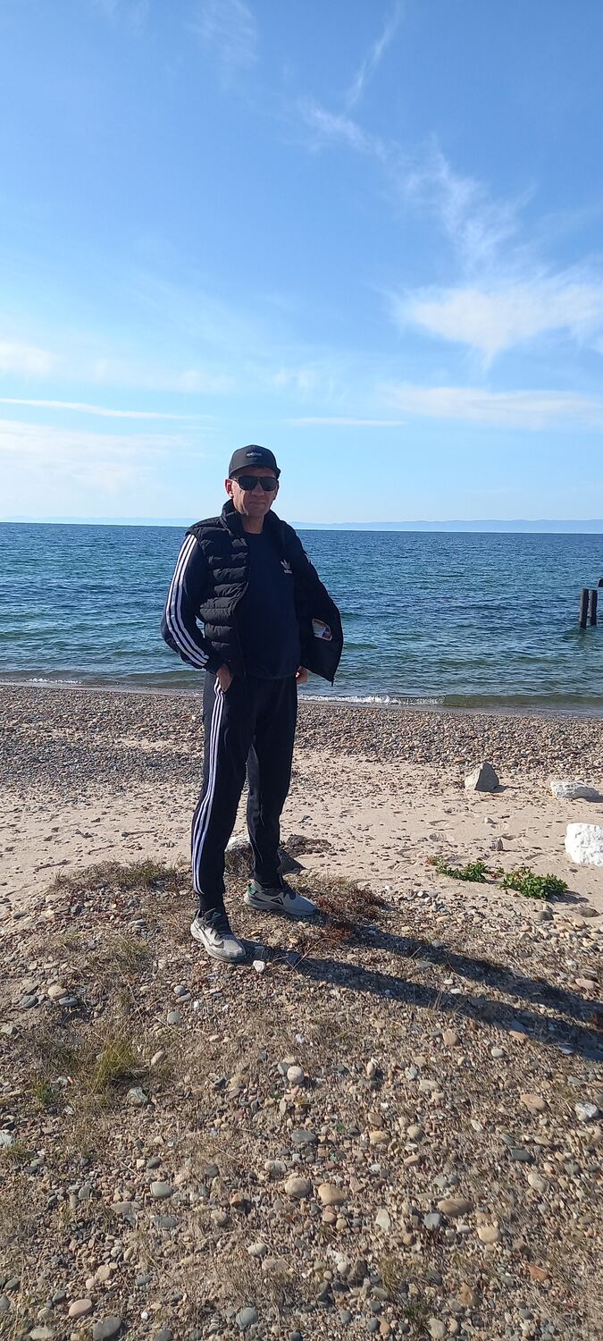  53755095  , 41 ,    -