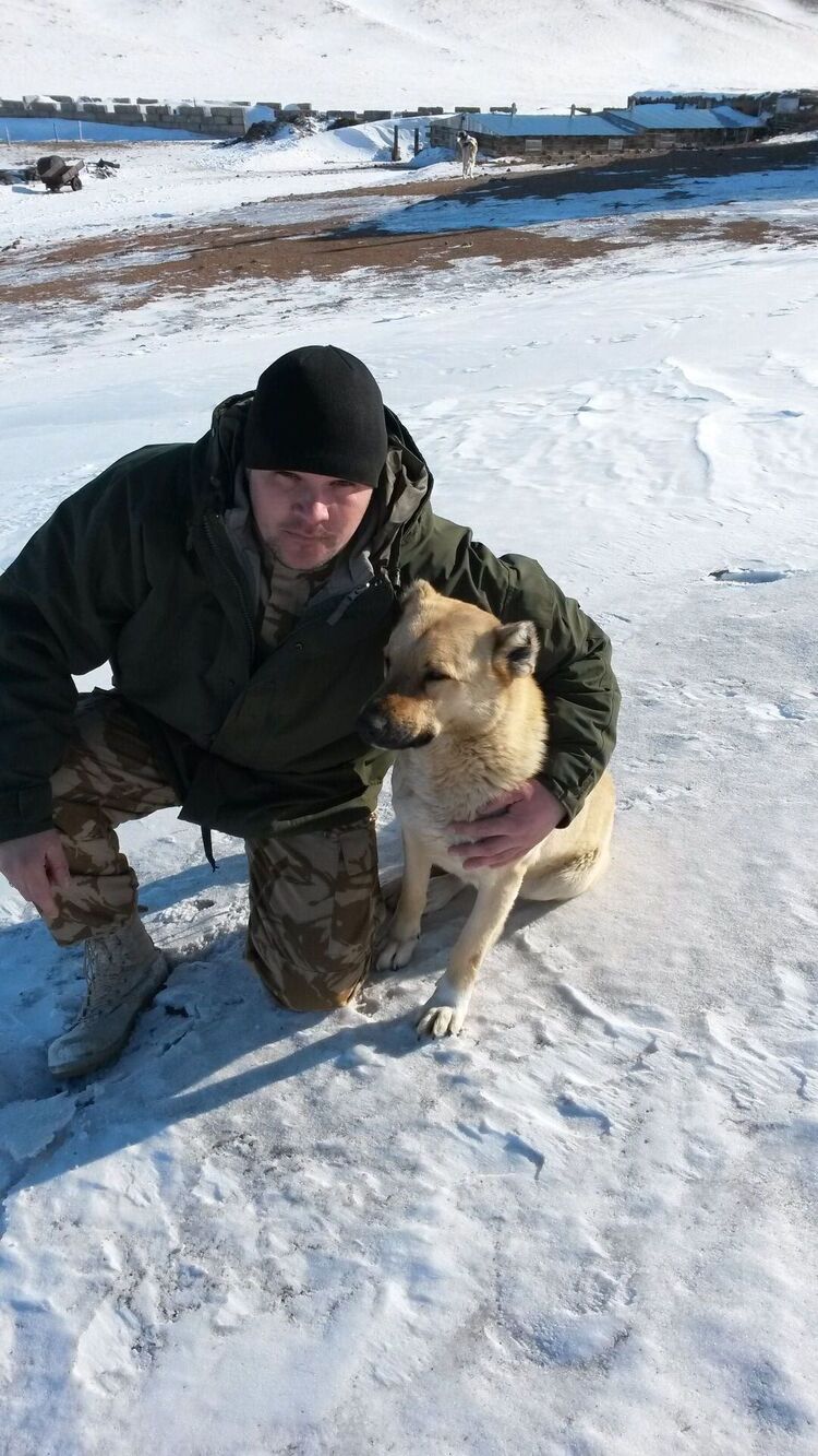 ���������� ������, ���� ������� ������, 40 ���, ������������ ��� ������, ����� � ���������