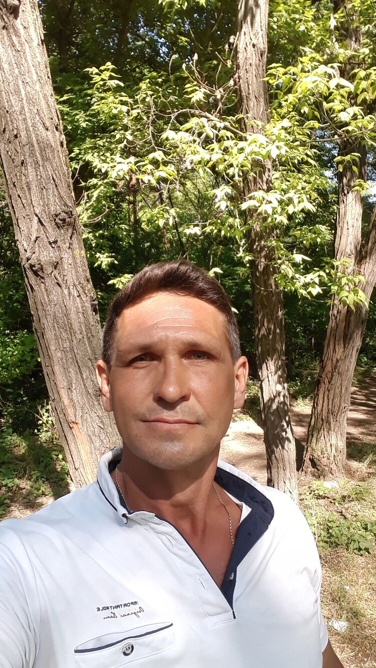  45080865  , 50 ,    