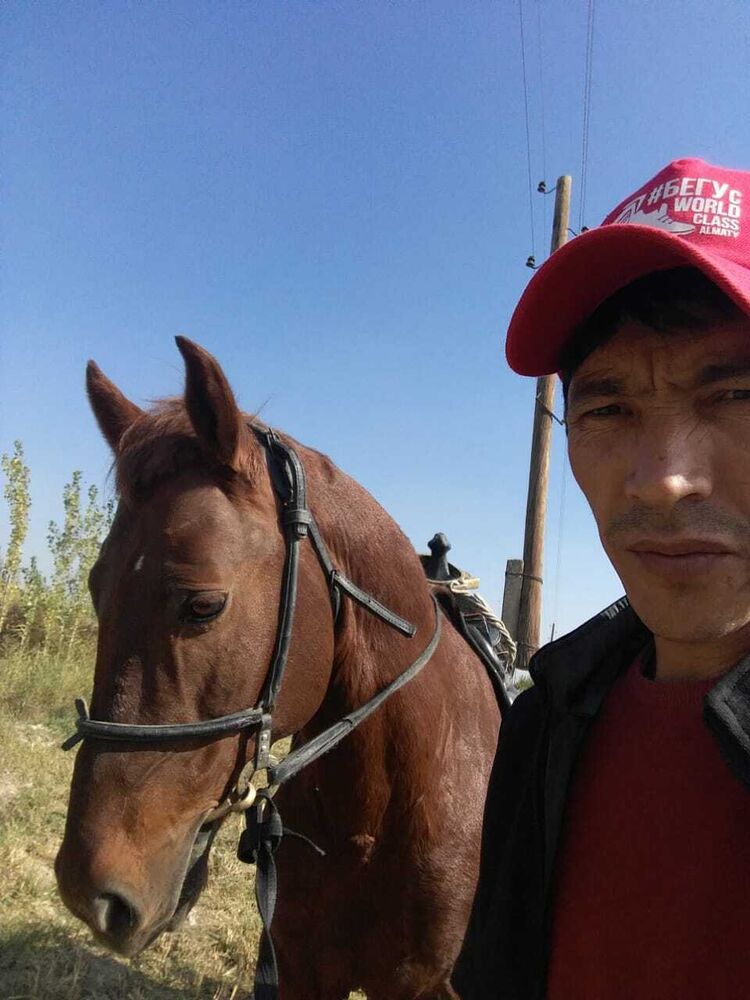 ���������� ������, ���� ������� ��������, 36 ���, ������������ ��� ������, ����� � ���������