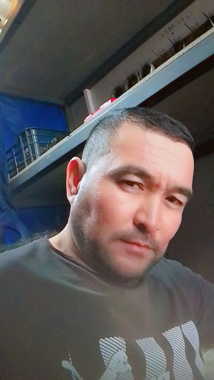  46185575  , 38 ,    
