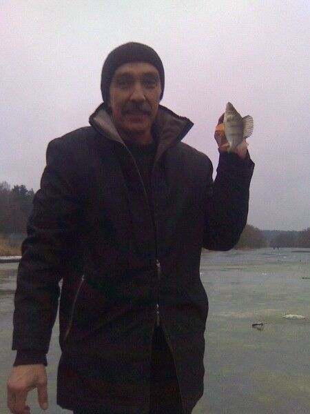 ���� 5250945 ������� Sher, 63 ����, ���� ���������� � ��������