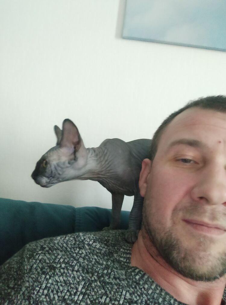 36113095  Alexey, 45 ,    