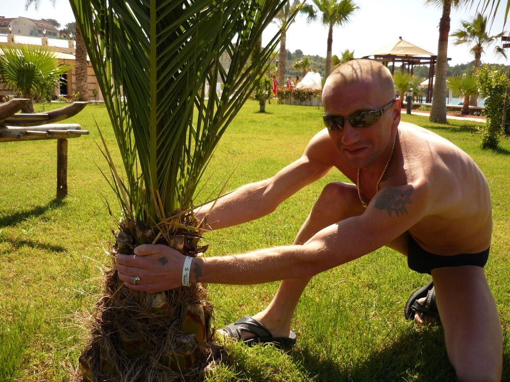 ���������� ������, ���� ������� ����, 48 ���, ������������ ��� ������, ����� � ���������, c�������� ���������, ���������