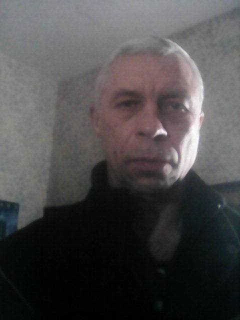  15693305  Ges, 50 ,    
