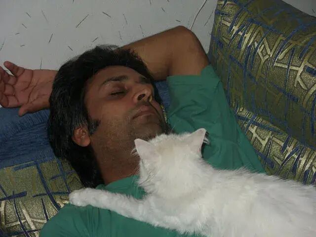 ���������� ������, ���� ������� ����, 46 ���, ������������ ��� ������, ����� � ���������, c�������� ���������