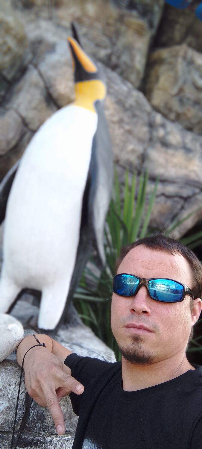 ���� 35559515 ������� ������, 34 ����, ���� ���������� � ����