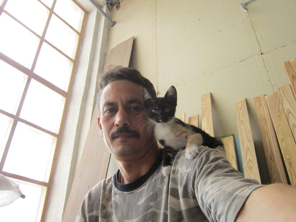 ���� 6002245 ������� ����, 60 ���, ���� ���������� � ������