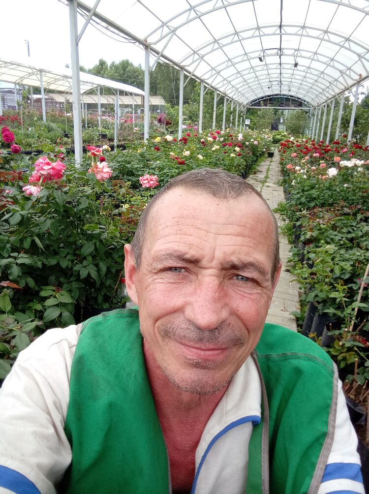 ���������� ������, ���� ������� ����, 55 ���, ������������ ��� ������, ����� � ���������