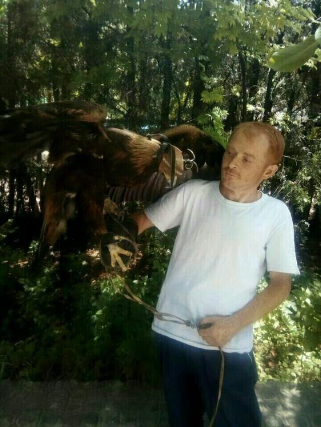 ���� 24062915 ������� ������, 35 ���, ���� ���������� � �������