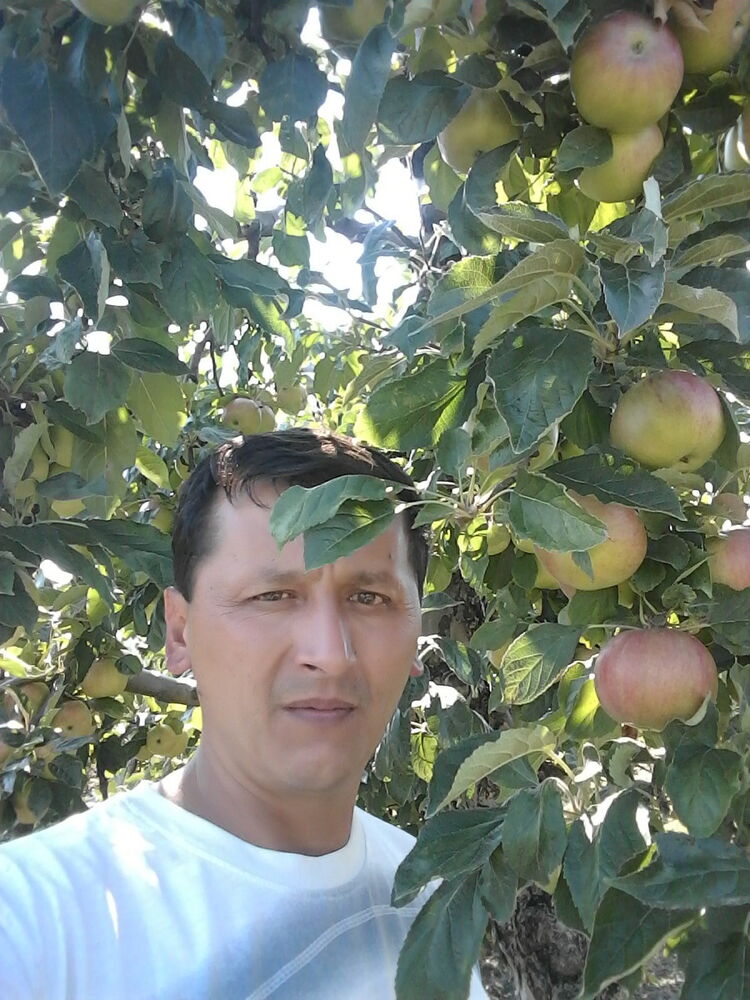  ,   Alu, 51 ,   ,   , c 