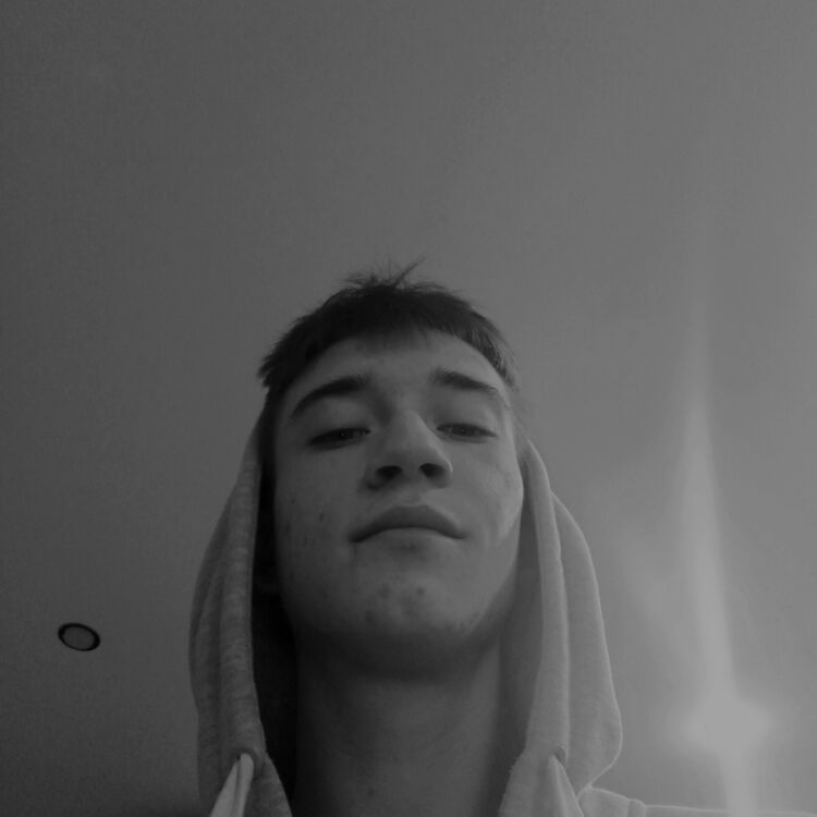  33236625  , 21 ,    