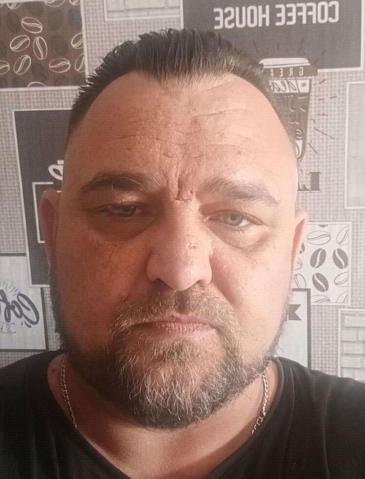  53541645  , 44 ,    