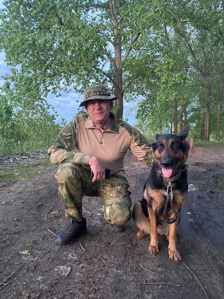 ���� 53250035 ������� �����, 56 ���, ���� ���������� � ������������