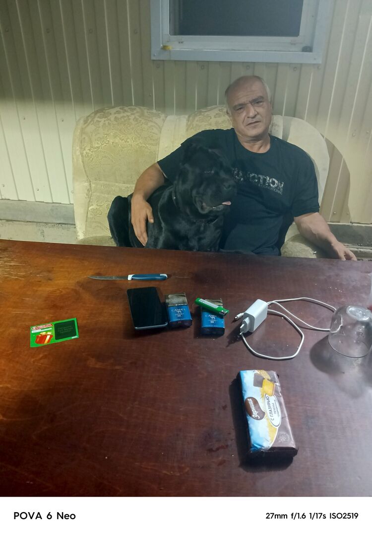 ���� 52872805 ������� ����, 52 ����, ���� ���������� � ����������