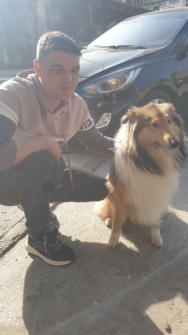 ���� 55251285 ������� �������, 38 ���, ���� ���������� � ���������� ������