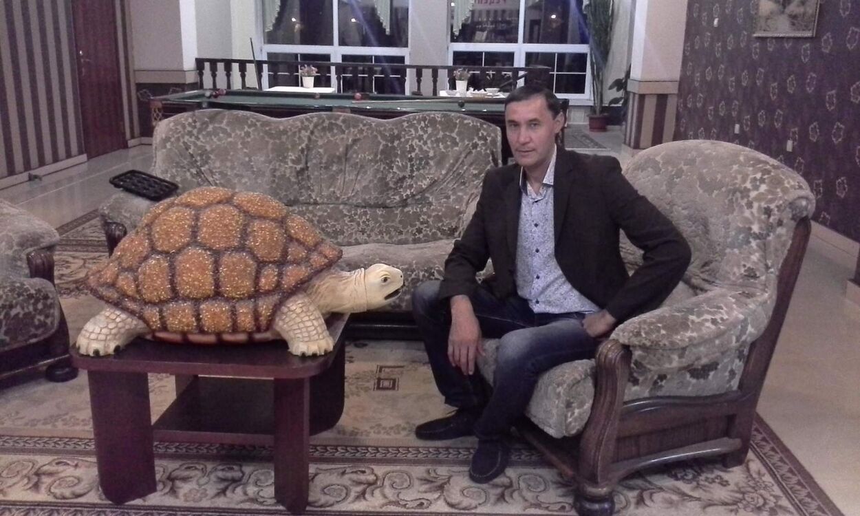 ���� 56201755 ������� �����, 48 ���, ���� ���������� � �������