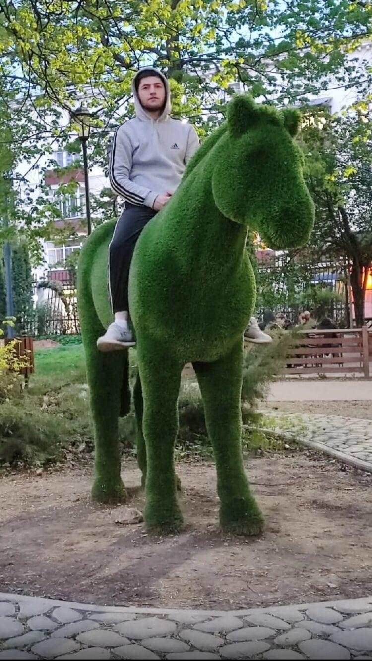  ,   , 24 ,   