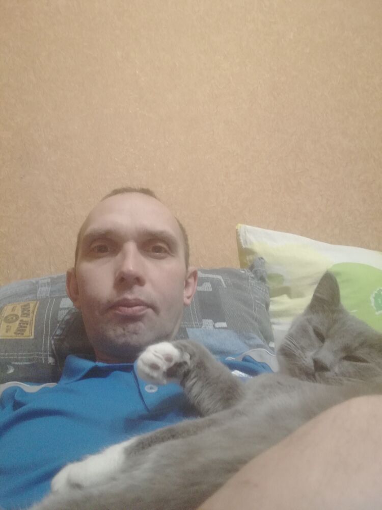 ���������� ����, ���� ������� �������, 40 ���, ������������ ��� c�������� ���������