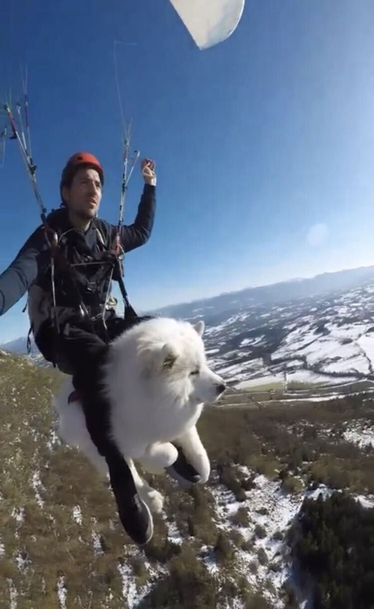 ���� 30799725 ������� �����, 26 ���, ���� ���������� � �����