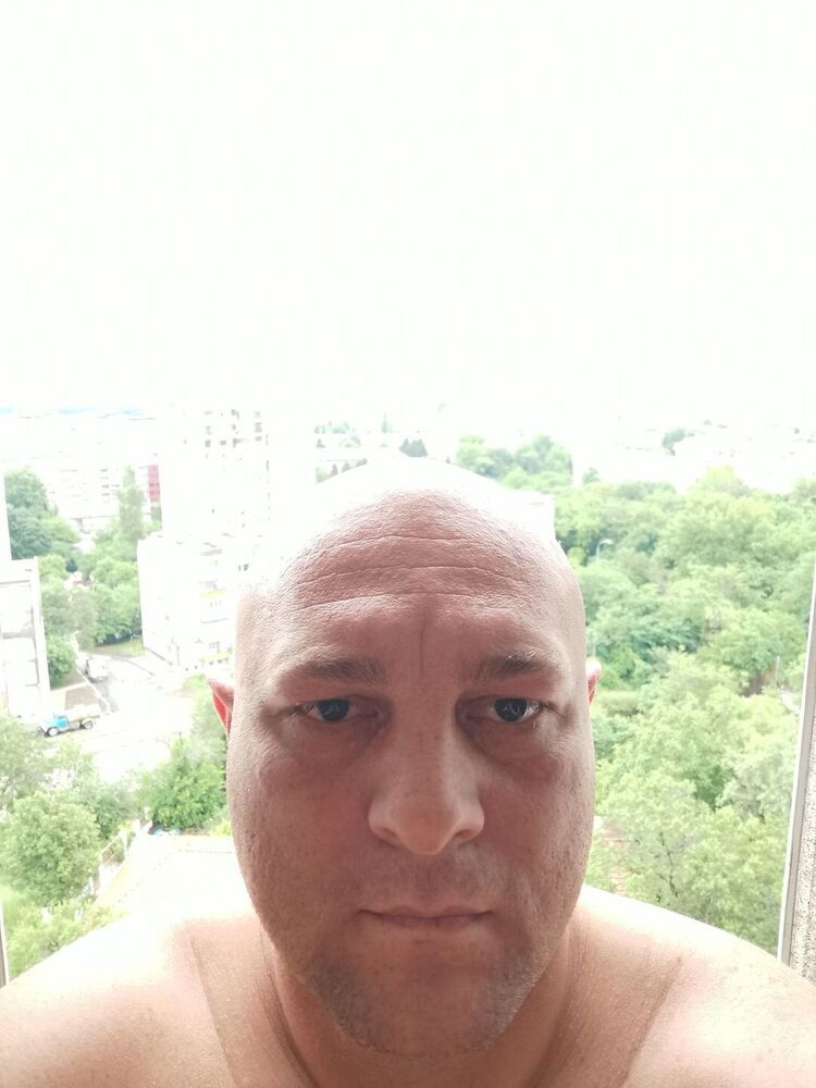  23163965  , 43 ,    