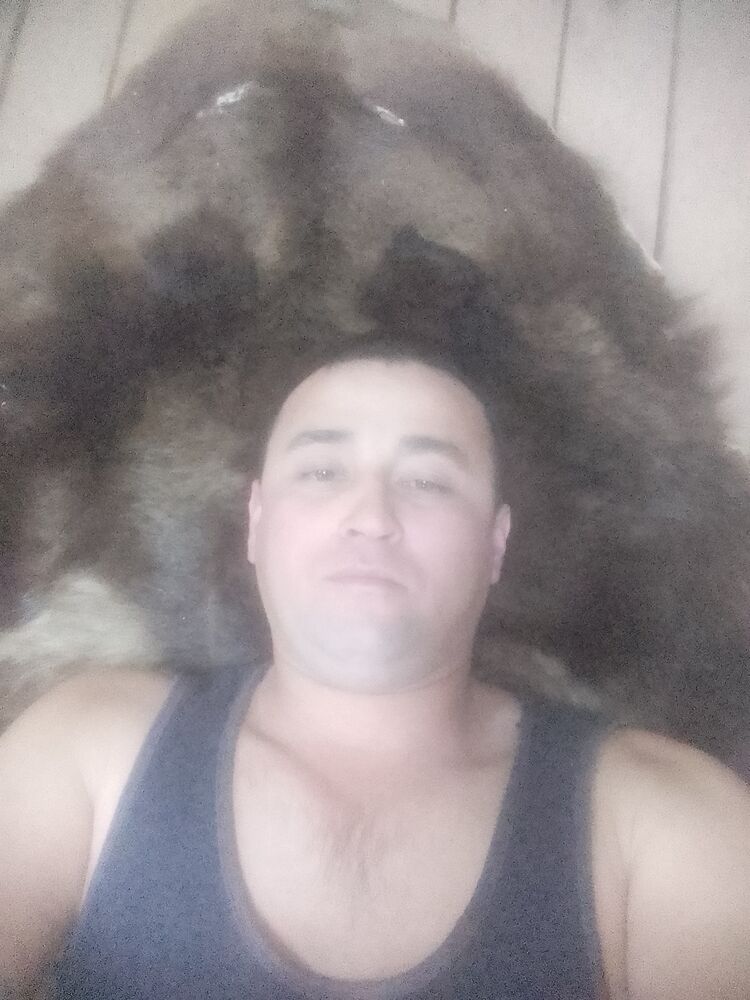  49894515  , 35 ,    