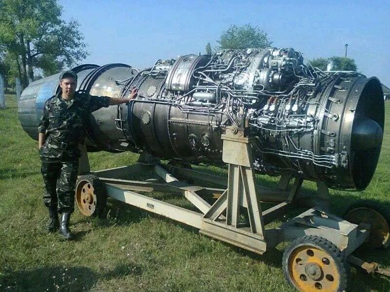  53411575  Vitalik, 38 ,    