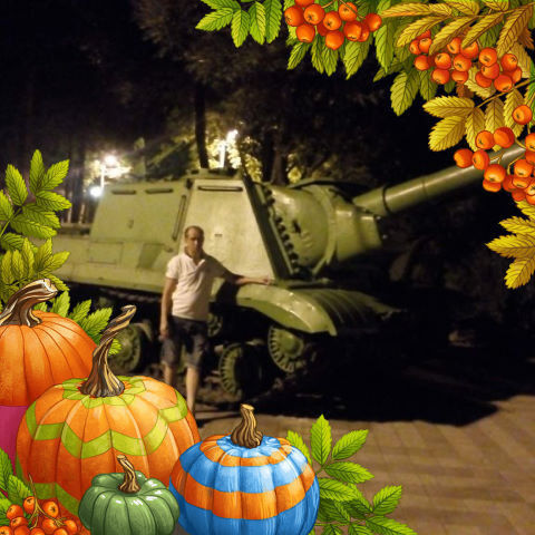 ���������� ����������� ����, ���� ������� �������, 44 ����, ������������ ��� ������, ����� � ���������, c�������� ���������