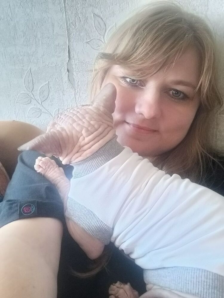 ���������� ������, ���� ������� ���������, 36 ���, ������������ ��� ������, ����� � ���������