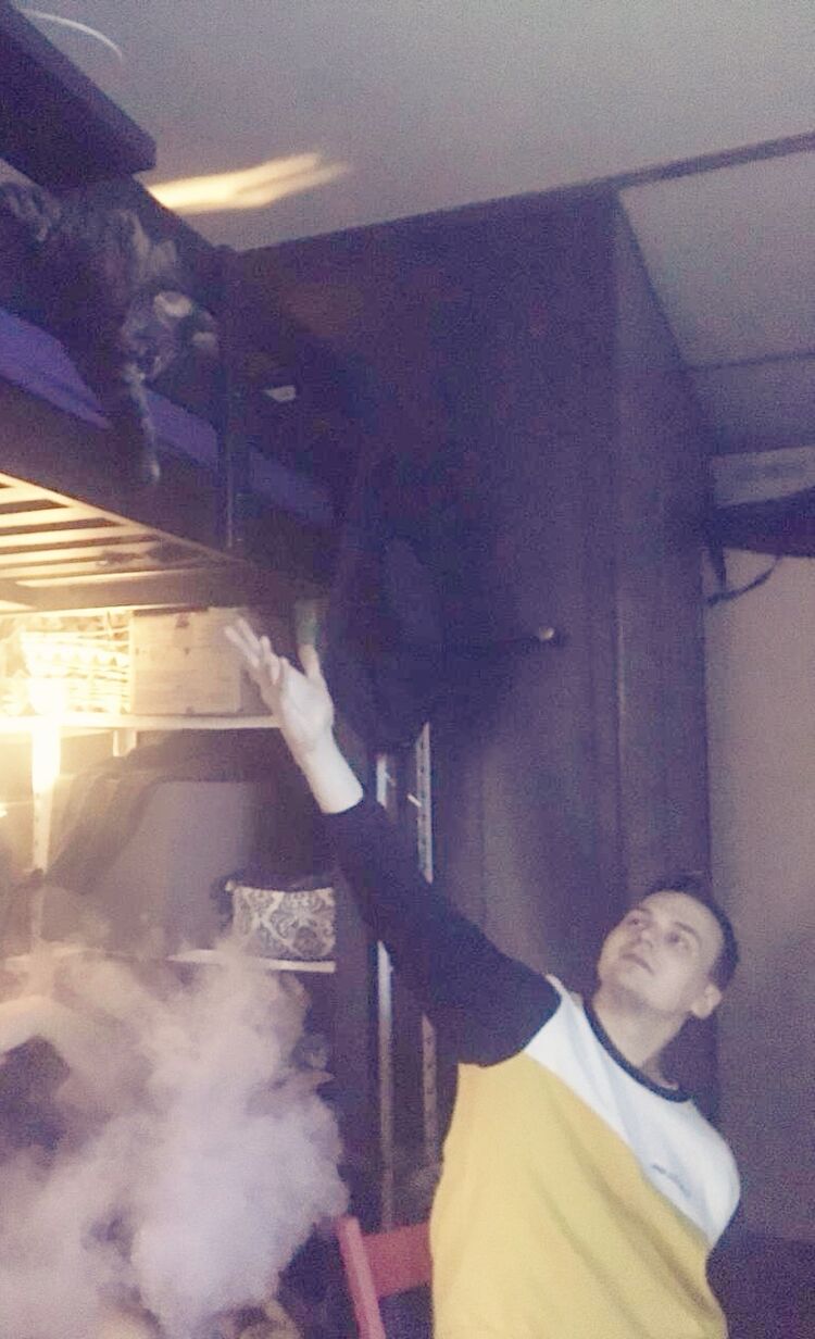 ���������� �������, ���� ������� ������, 29 ���, ������������ ��� ������, ����� � ���������, c�������� ���������