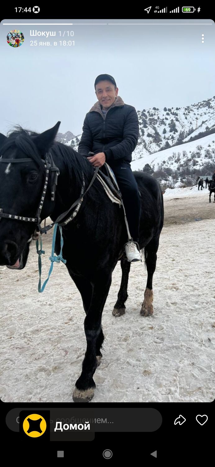 ���������� �����-���������, ���� ������� ������, 42 ����, ������������ ��� ����� � ���������