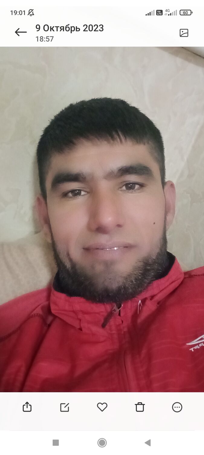  -,   Baha, 37 ,   ,   , c 