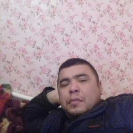 ���� 20486245 ������� ��������, 44 ����, ���� ���������� � ���