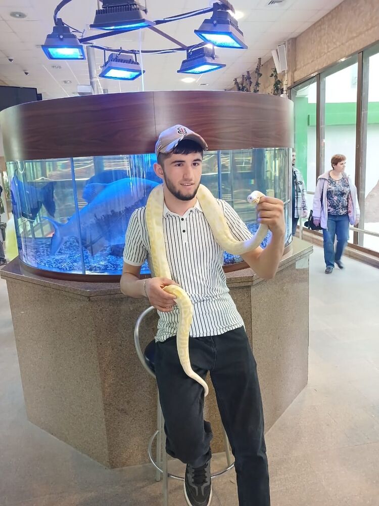 ���� 43286525 ������� ����, 34 ����, ���� ���������� � �������